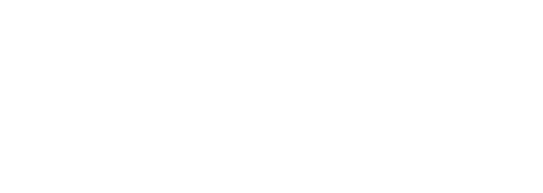 Karbonsoft